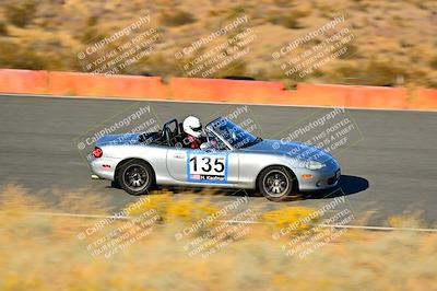 media/Nov-16-2024-Extreme Speed (Sat) [[6587d07cc4]]/Purple Group/Session 3 (The Bowl)/